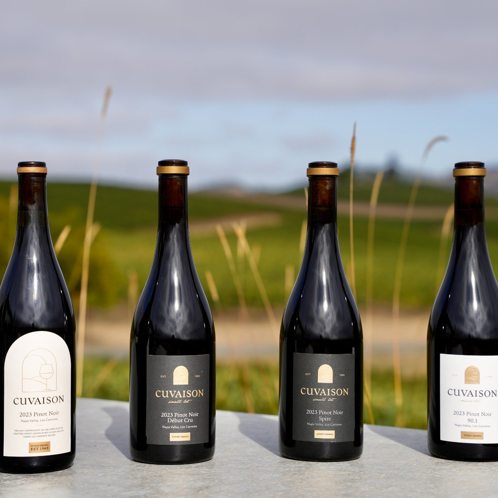 Four Pinot Noir bottles from Cuvaison are lined up on a stone surface outdoors, with a blurred vineyard landscape in the background under a cloudy sky. 90+ point wines for 90+ degree days