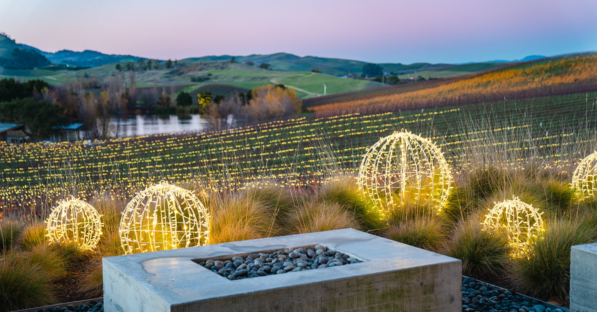 Experience the Bright Nights Tasting for Two, where glowing orbs light up the vineyard’s grasses and rocks, with illuminated rows leading toward green hills beneath a pastel dusk sky.