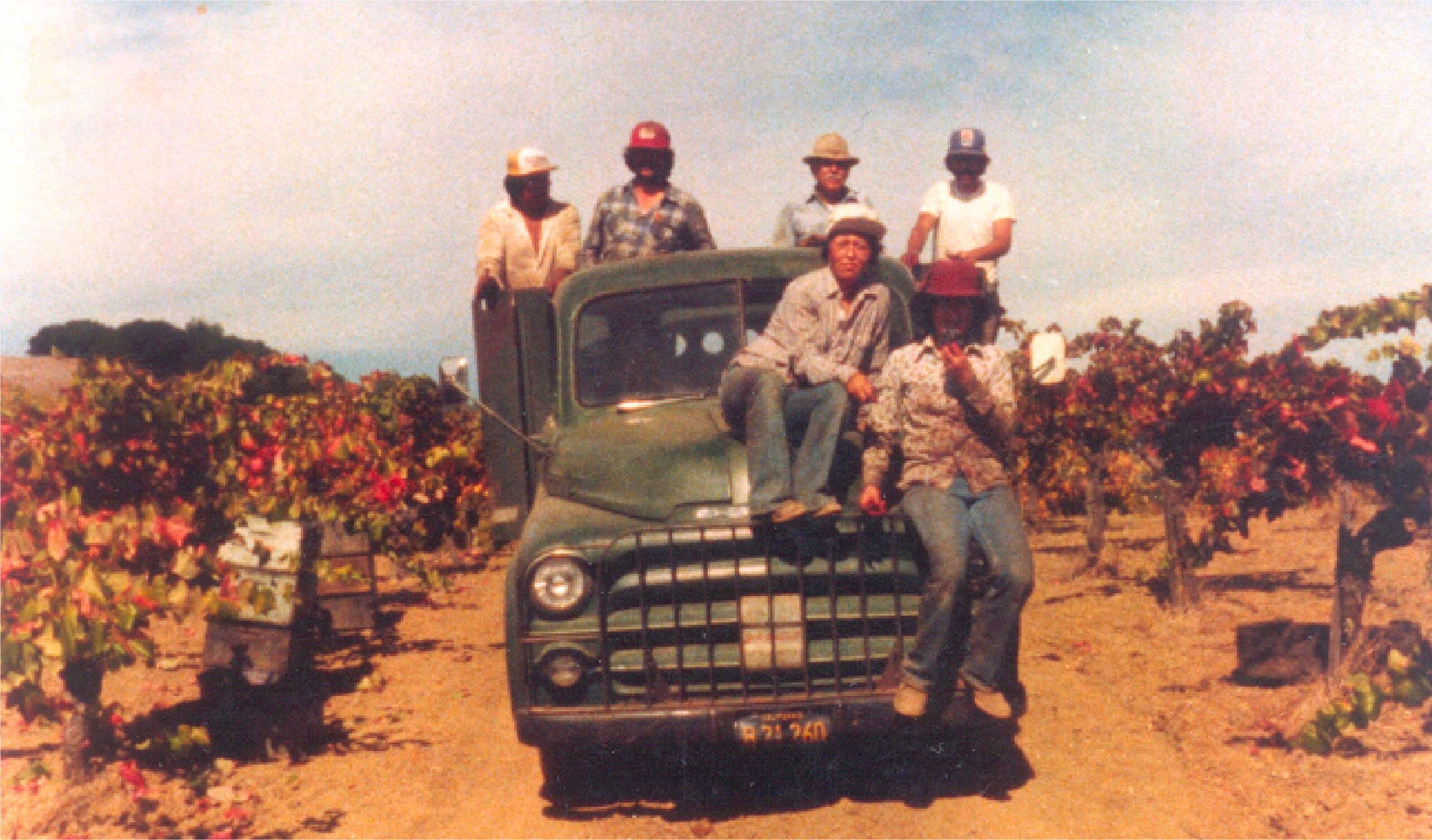 Six people pose on and in front of an old green truck parked in a vineyard. Some are sitting on the hood and bumper, while others stand beside or lean against the vehicle. Rows of grapevines surround them under a partly cloudy sky.