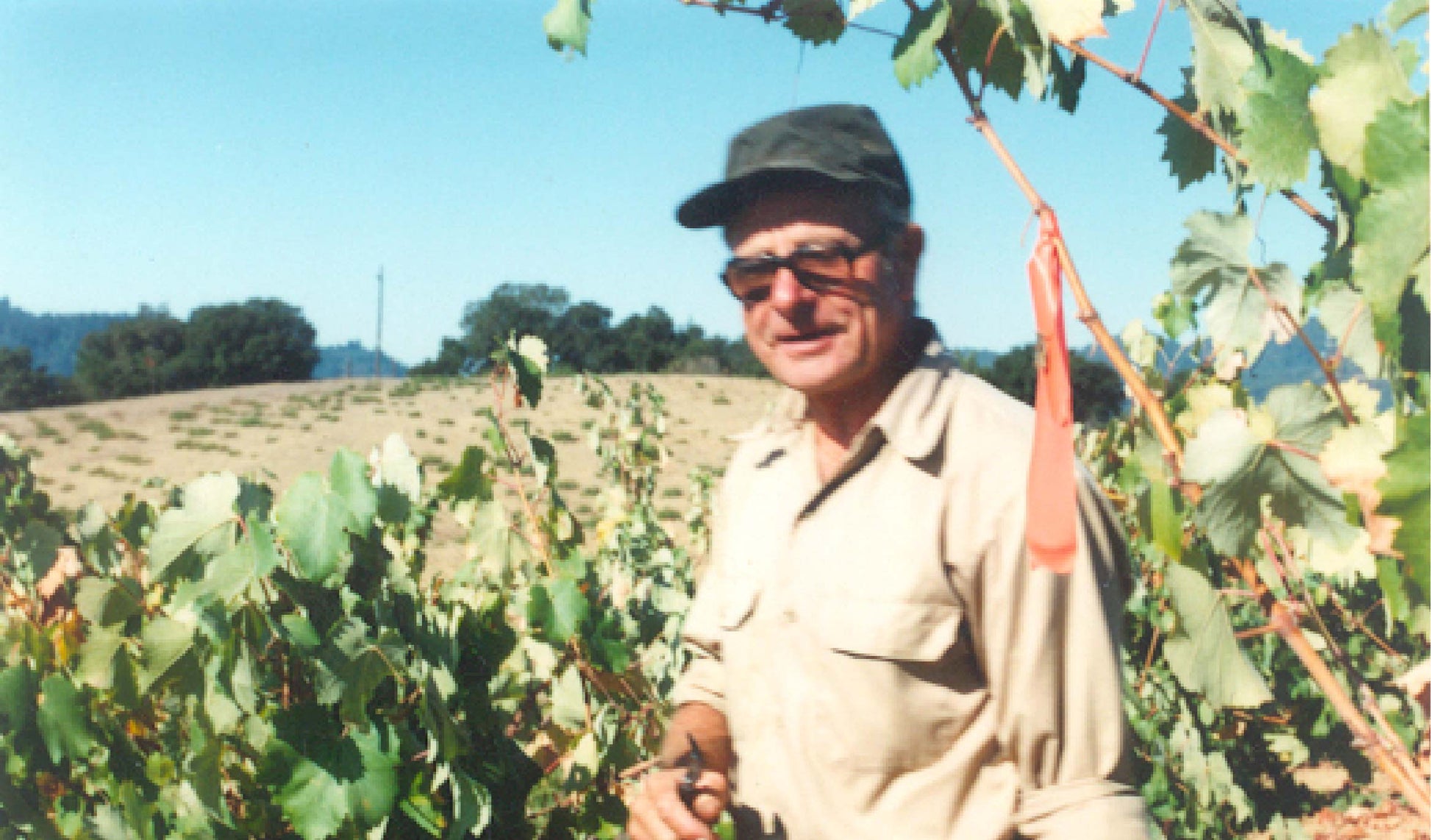 A man wearing sunglasses, a cap, and a beige shirt stands among grapevines in a vineyard on a sunny day, with a field and trees in the background.