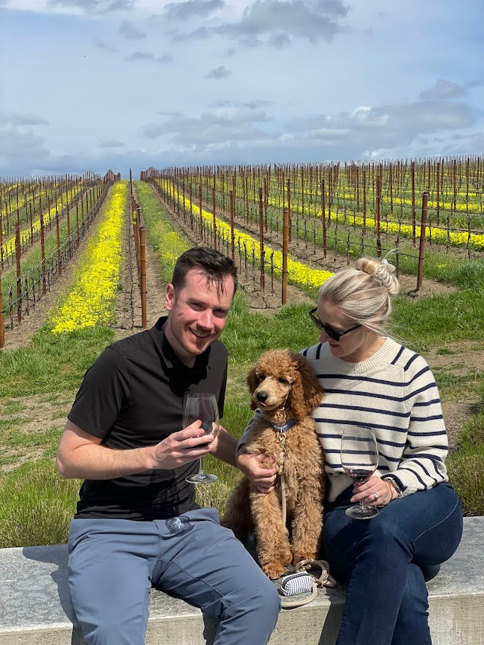 A man and a woman sit on a low concrete wall in front of a vineyard with rows of grapevines and yellow flowers. The man holds a glass of red wine, and the woman has a glass as well. A brown poodle sits between them.