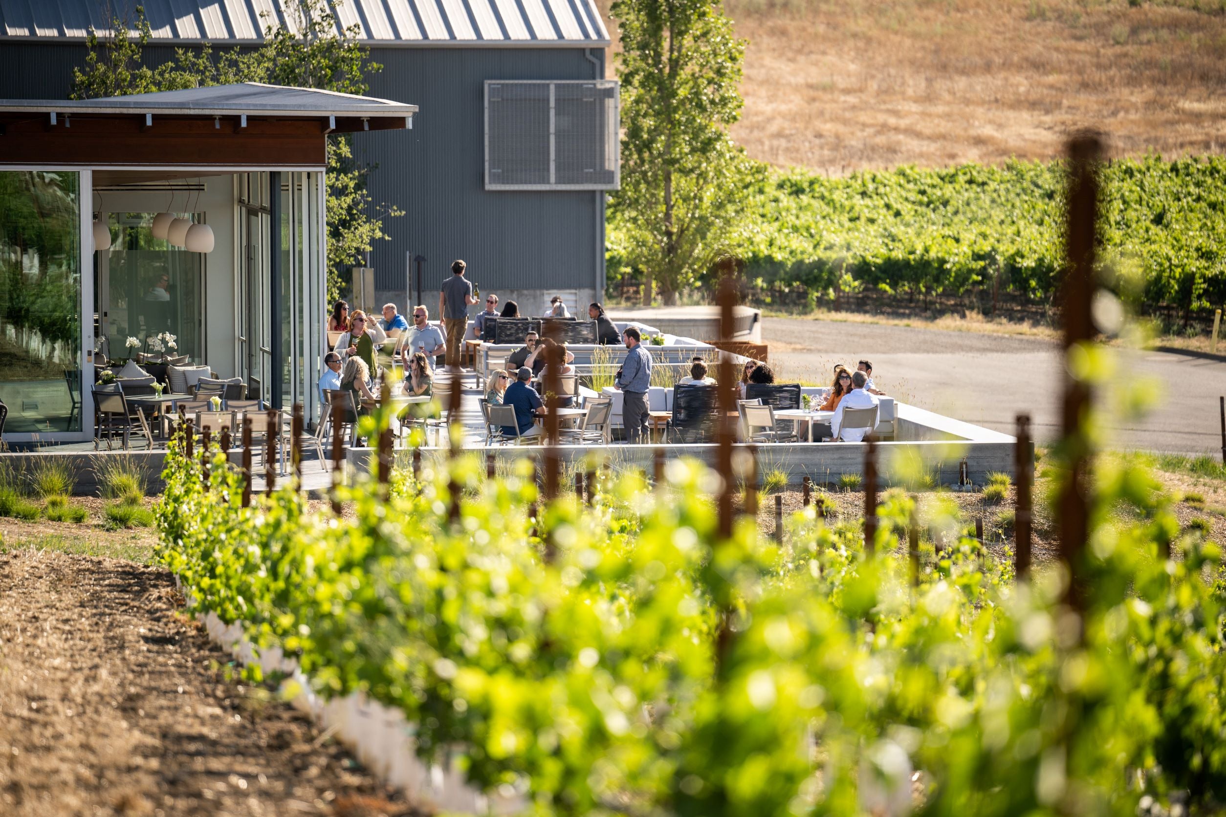 People sit at tables on an outdoor patio next to a modern building, with a vineyard in the foreground and hills in the background. The weather is sunny and bright.