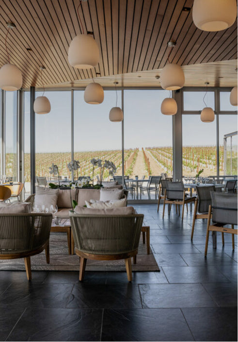 Modern lounge with cushioned chairs and tables, large windows overlooking the vineyard where 2021 Brandlin Estate Cabernet Sauvignon ThS is produced, pendant lights on a wooden ceiling, and natural light filling the space.
