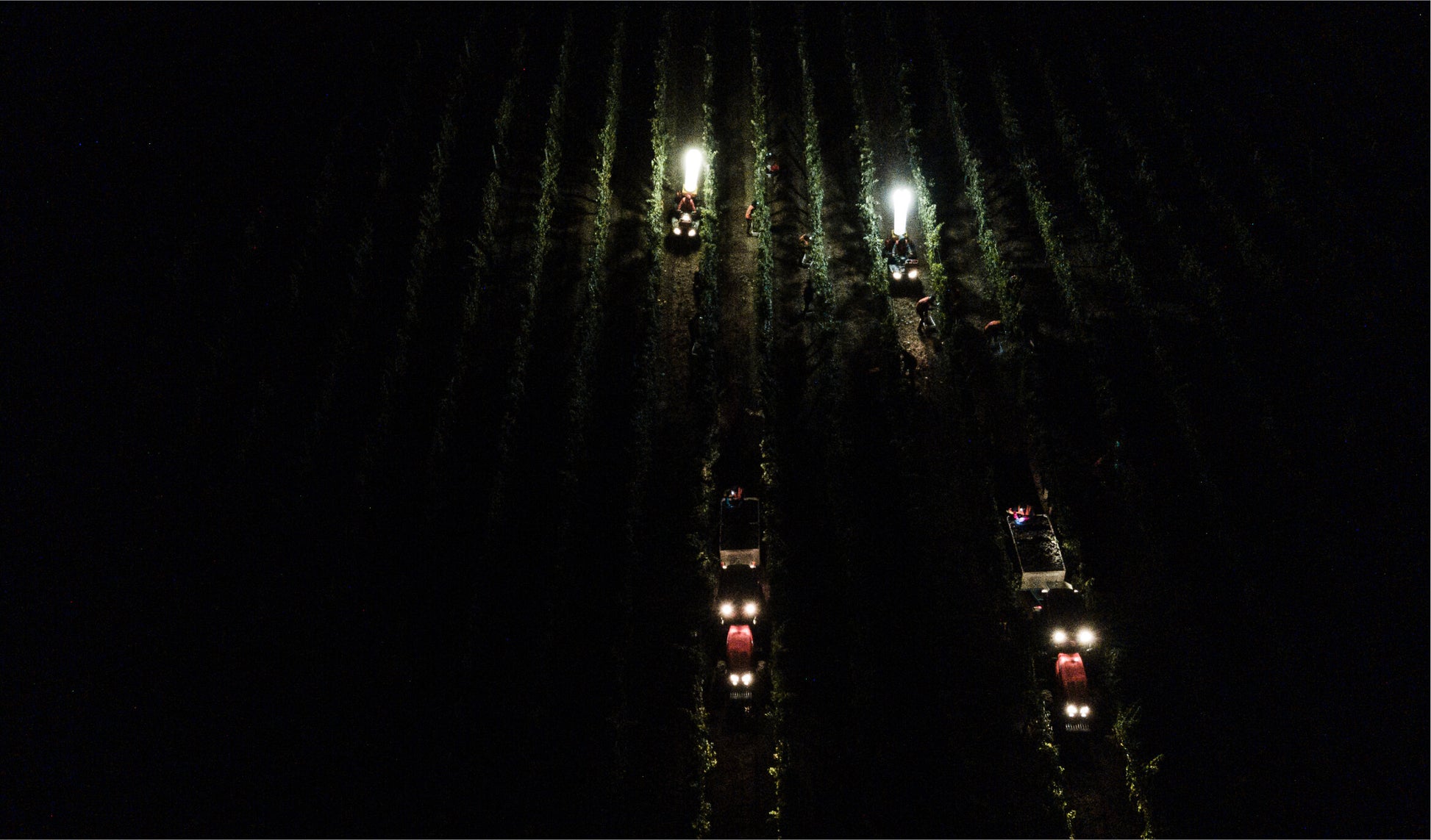 Aerial view of six tractors with headlights working in rows of a field at night, illuminating the crops as they move in parallel lines through the darkness.