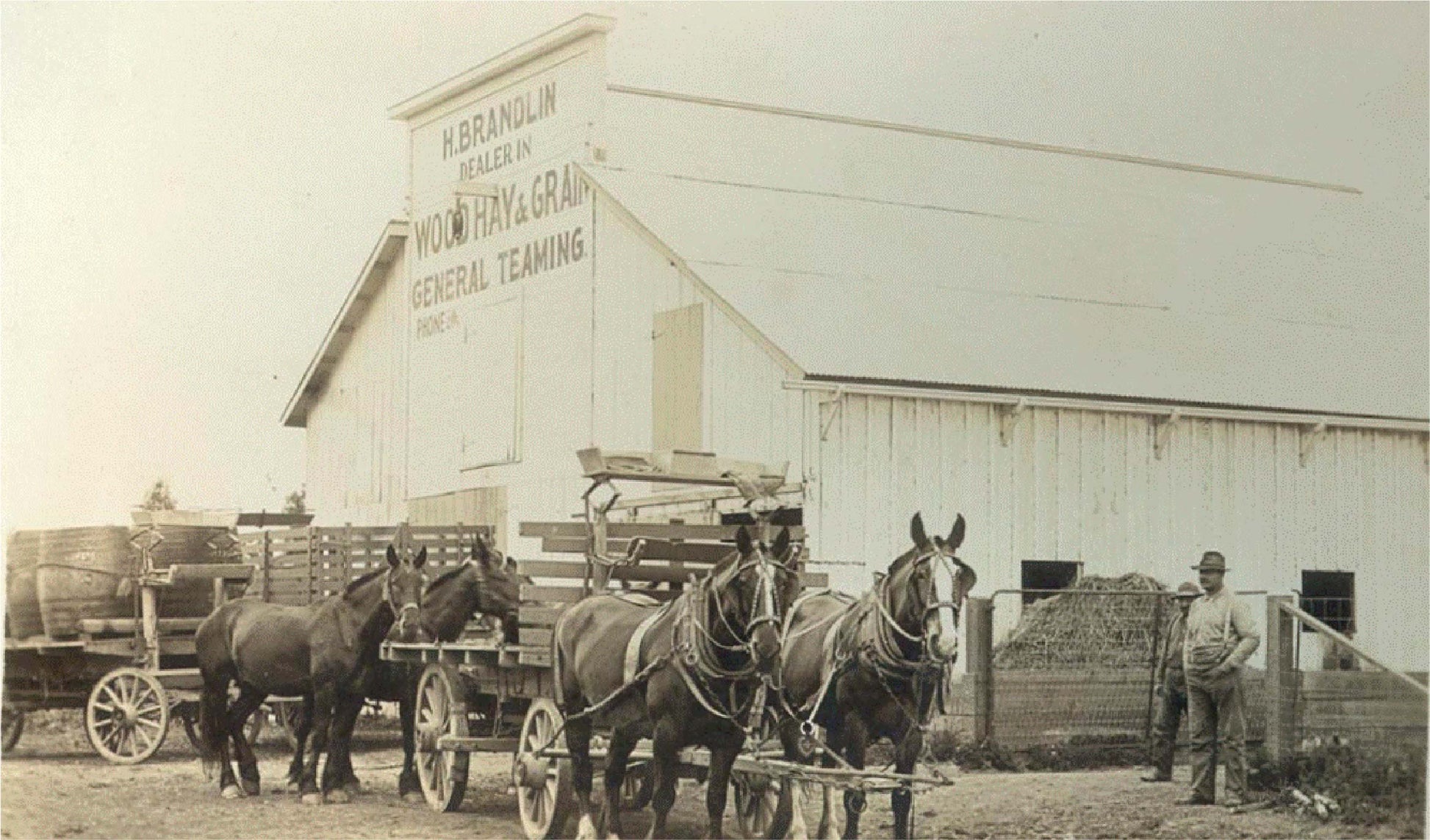 A black-and-white photo shows a man standing by a wooden barn labeled H. Brandlin Keller, Wood, Hay & Grain, General Teaming with three horses hitched to a loaded wagon in front. Another filled wagon is nearby.
