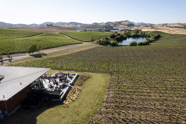Aerial view of a modern building with an outdoor patio near rows of grapevines in a vineyard, a small lake, and rolling hills in the background on a clear day.