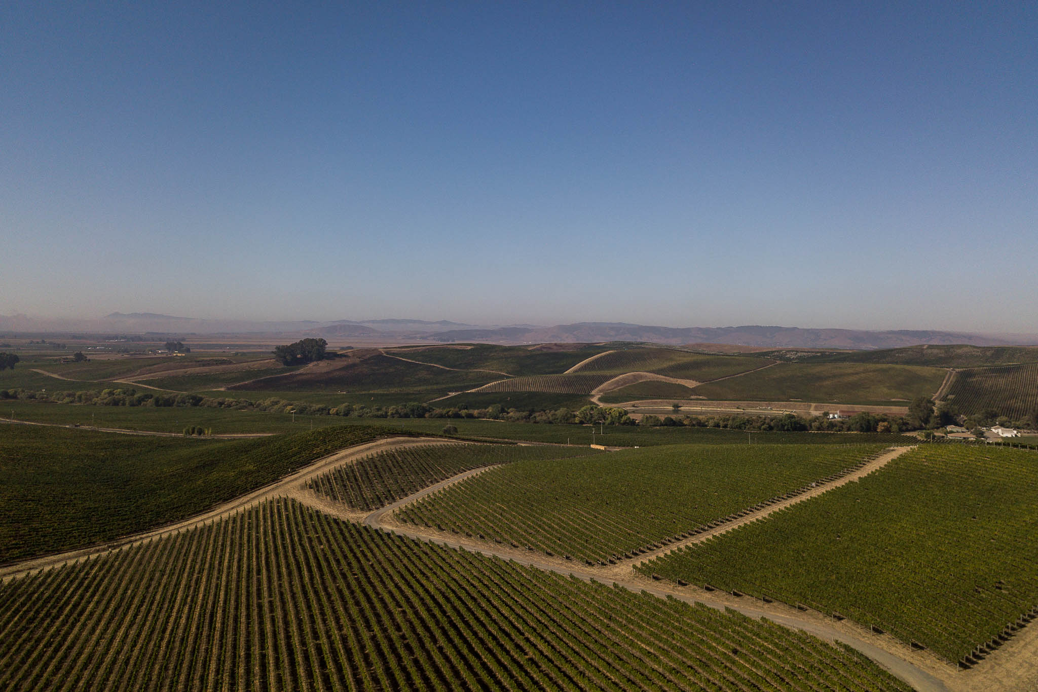 CHARDONNAY Pineau 椅子　スツール 2023 Cuvaison Pinot Noir, Fiddlestix Vineyard | Cuvaison Winery