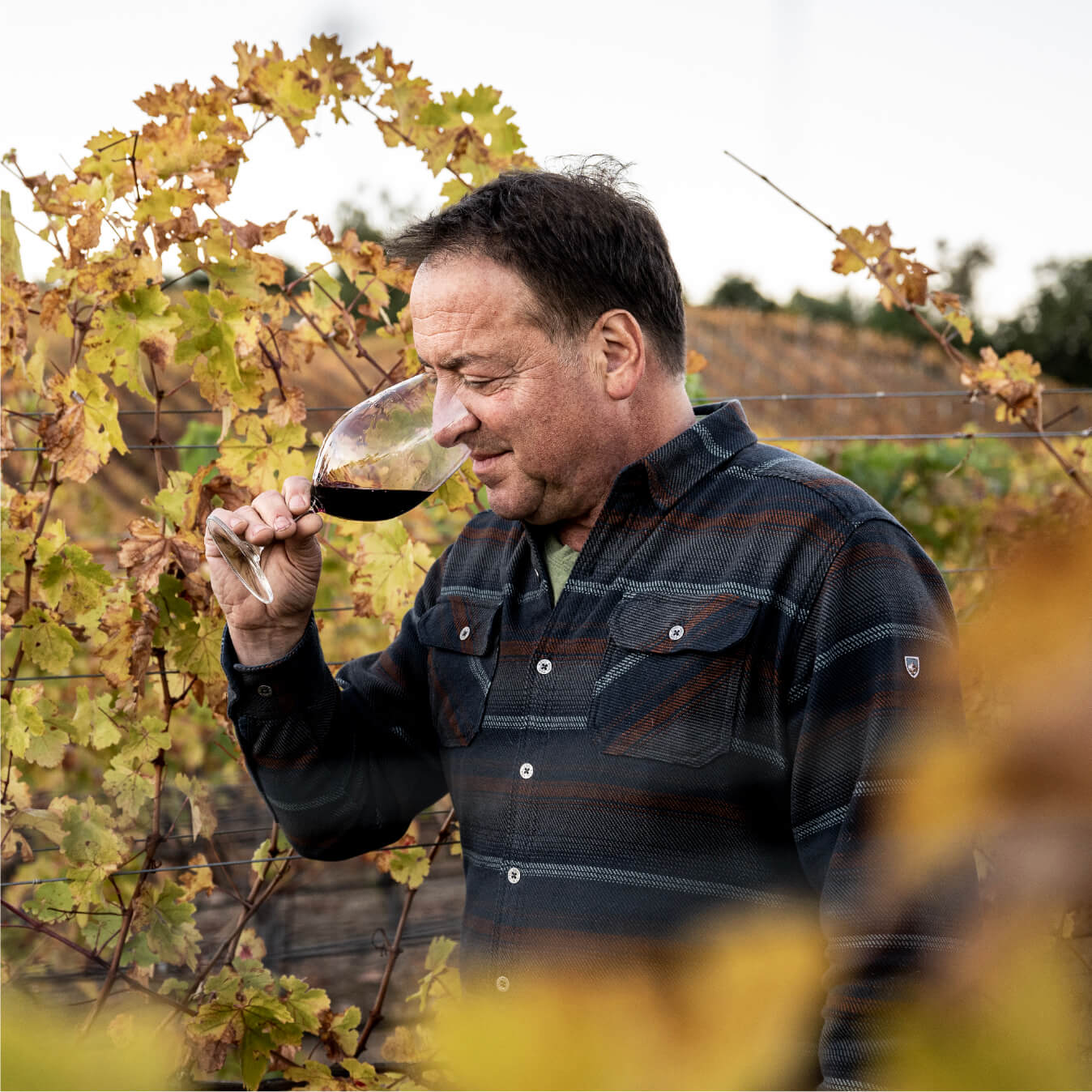 A man in a plaid shirt stands among grapevines, holding a glass of red wine up to his nose and smelling it. The leaves on the vines are yellow and brown, indicating autumn.